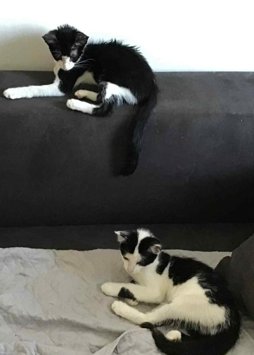 Akena&Aslan