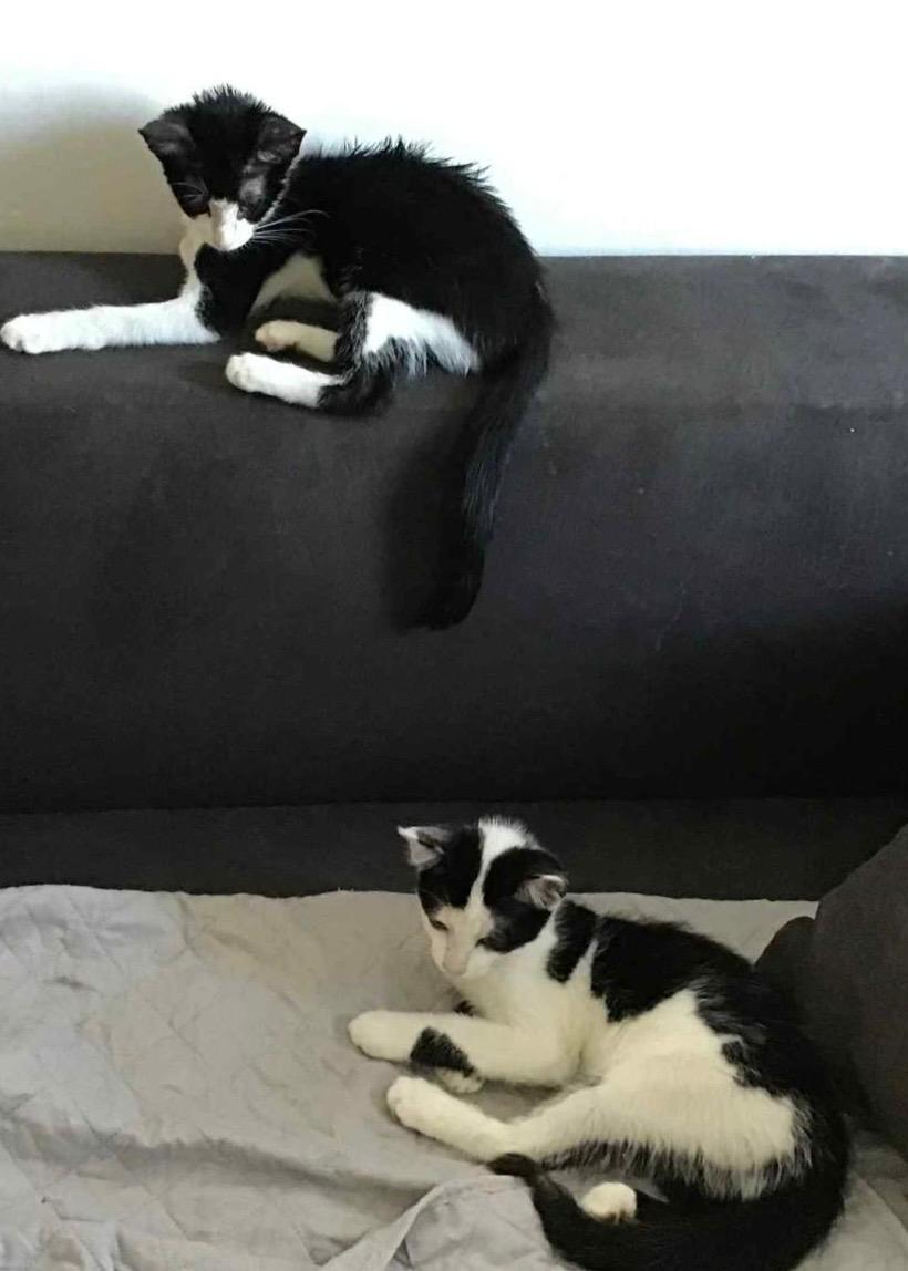 Akena&Aslan