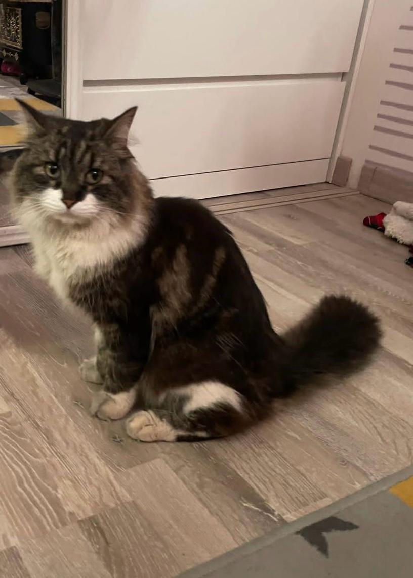 Léo