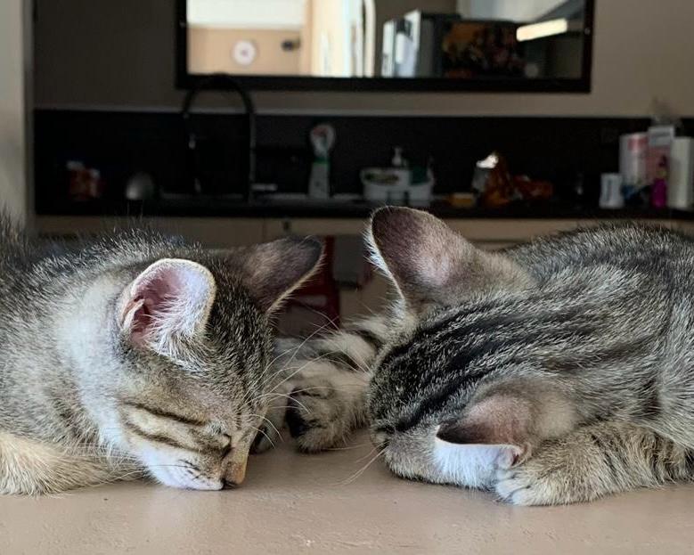 Mimi&Sixen_2