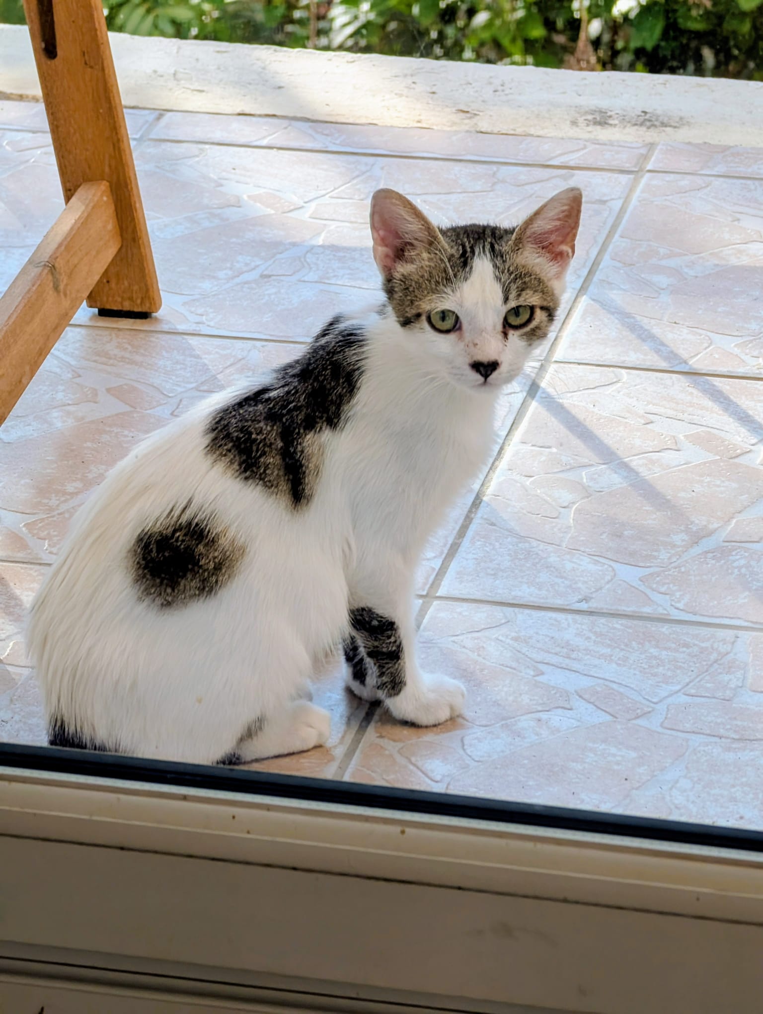 WhatsApp Image 2025-09-24 at 21.41.49