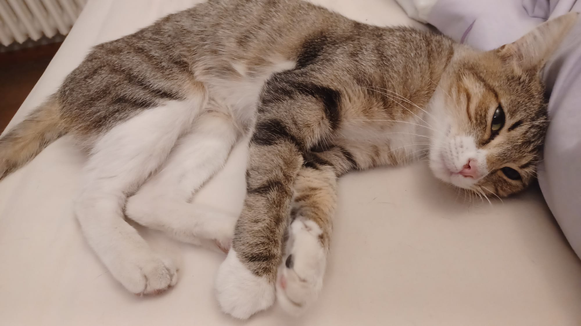 WhatsApp Image 2025-09-24 at 22.21.24