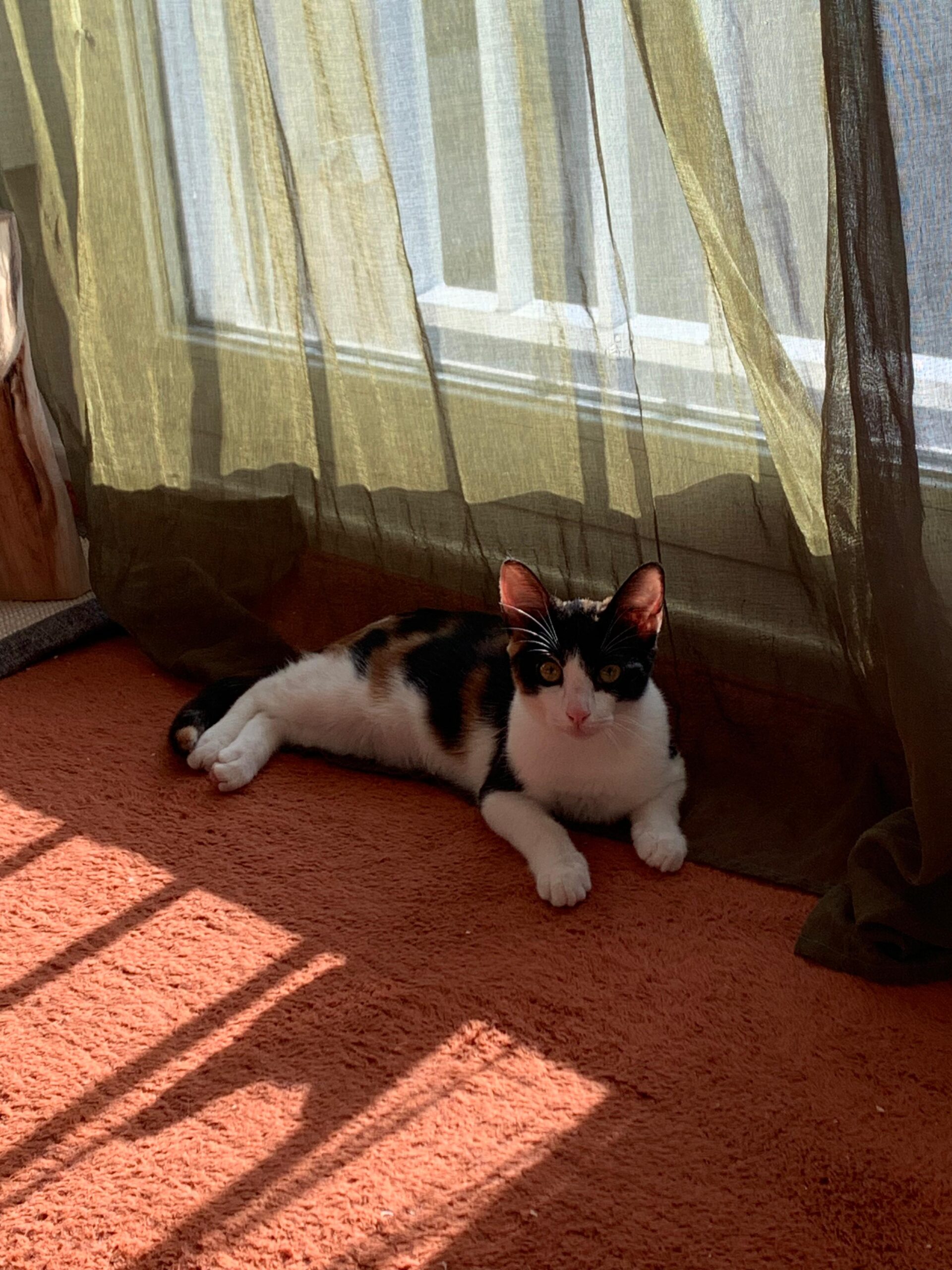 WhatsApp Image 2025-10-01 at 22.20.23