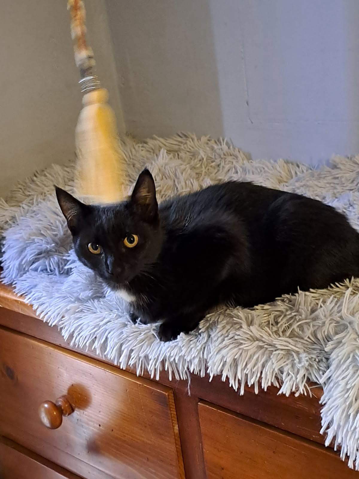 WhatsApp Image 2025-10-09 at 17.32.55 (1)