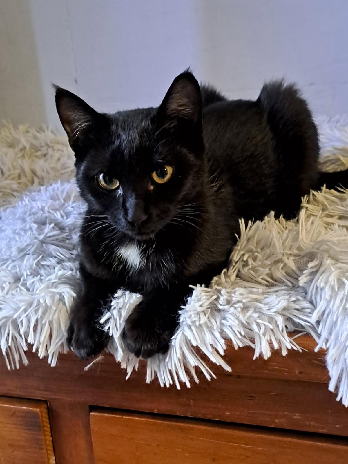 WhatsApp Image 2025-10-09 at 17.32.55 (2)