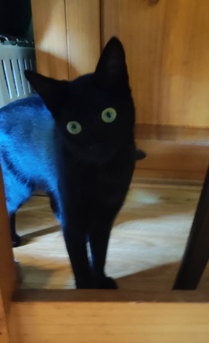 WhatsApp Image 2025-10-09 at 17.34.54 (1)