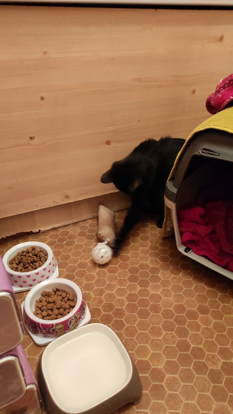 WhatsApp Image 2025-10-09 at 17.34.54 (2)