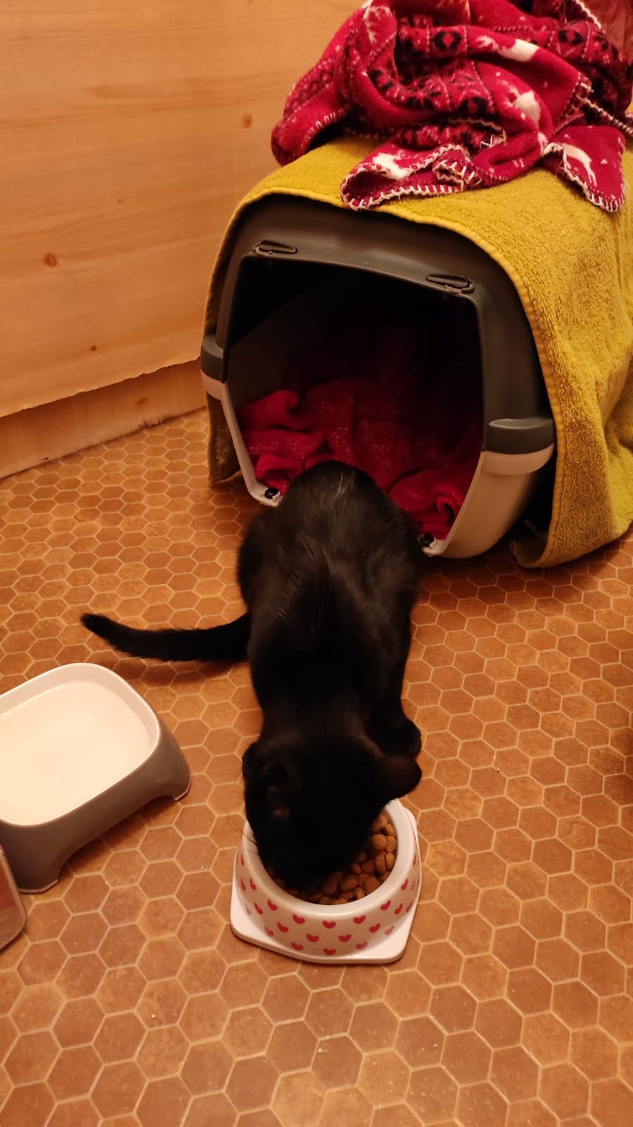 WhatsApp Image 2025-10-09 at 17.34.54 (3)