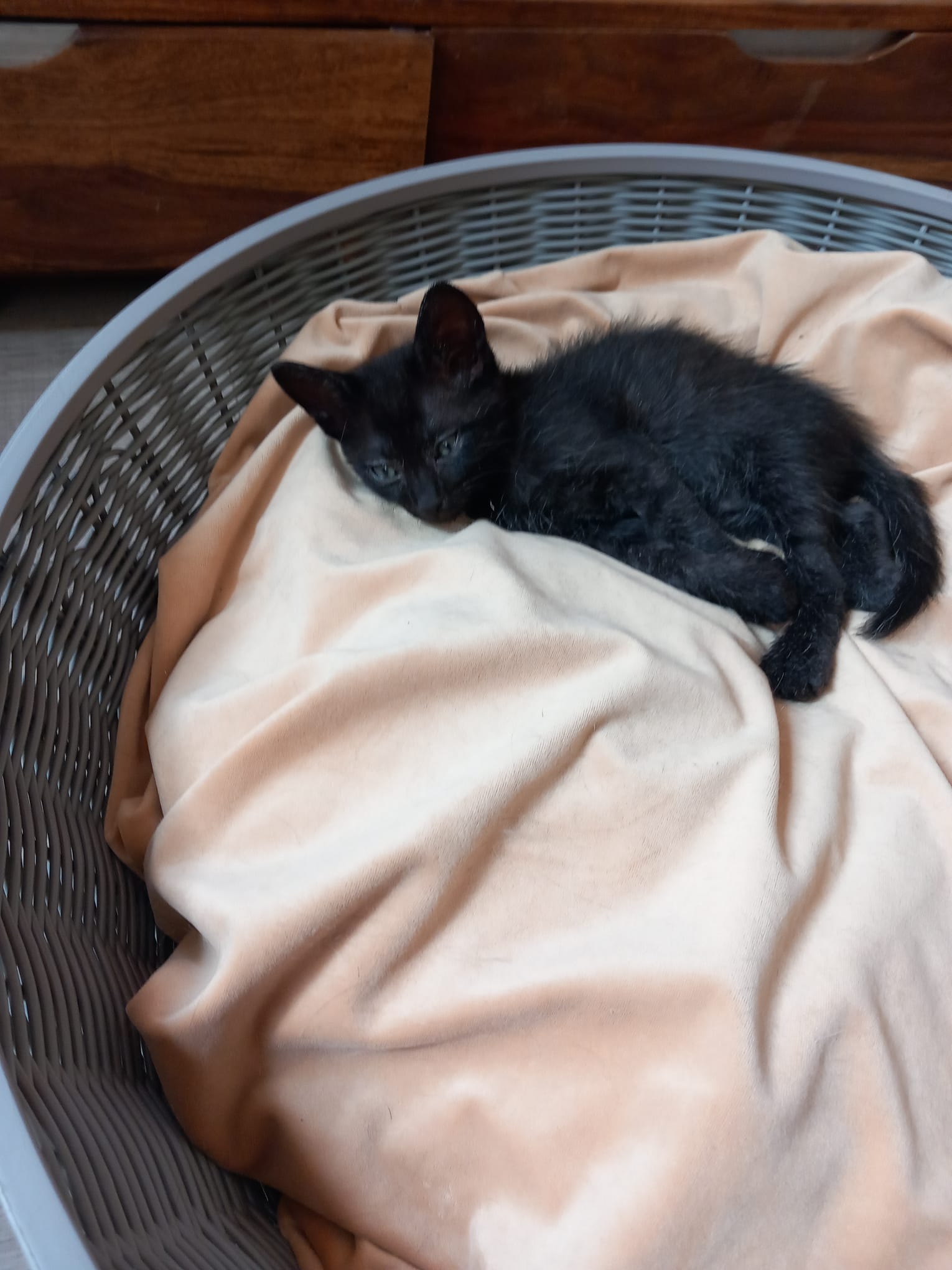 WhatsApp Image 2025-10-11 at 11.59.02