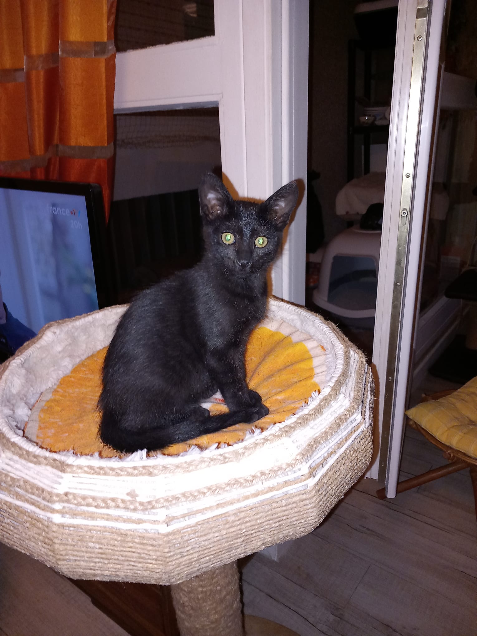 WhatsApp Image 2025-10-11 at 11.59.04