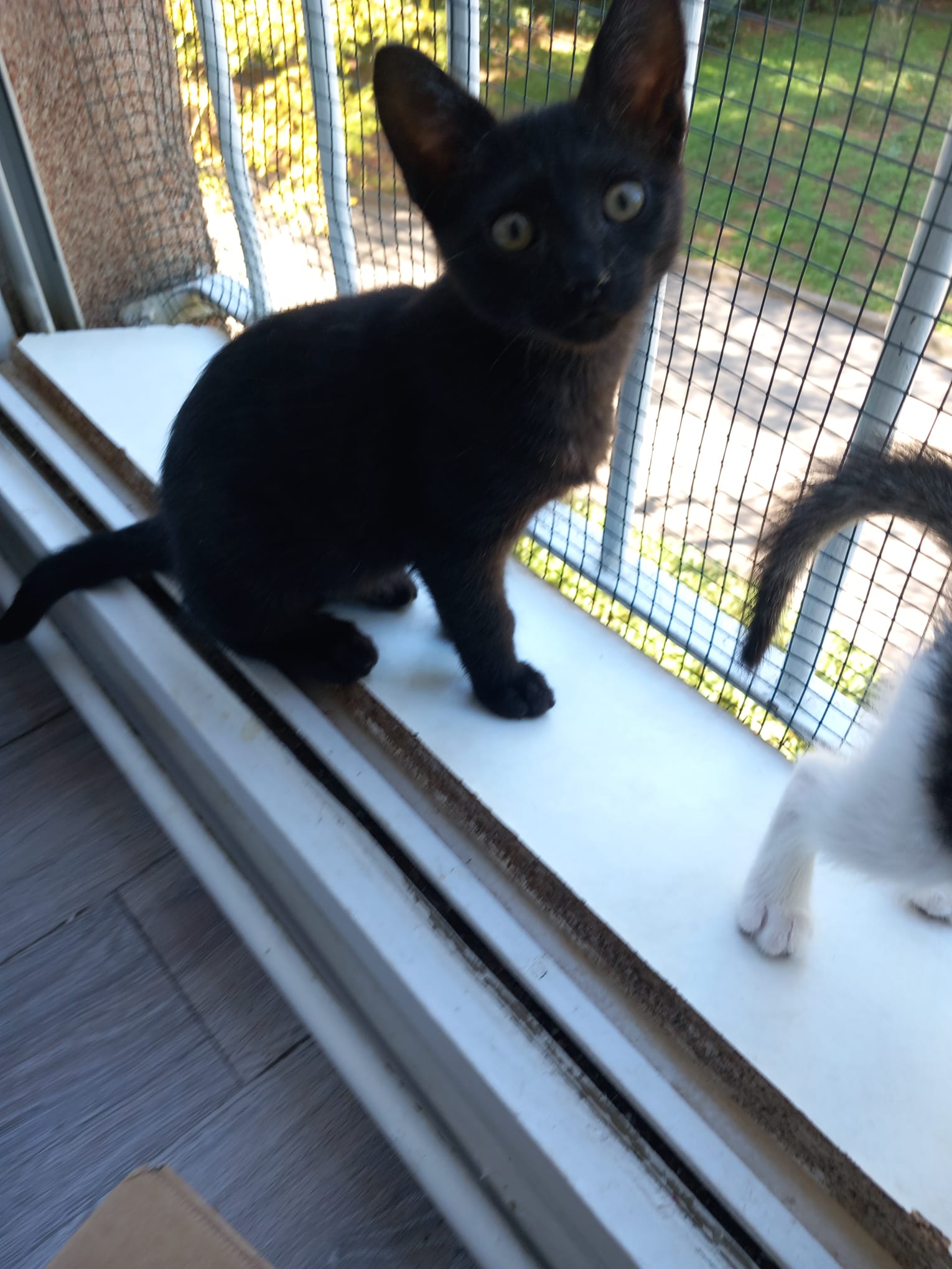 WhatsApp Image 2025-10-11 at 11.59.05 (1)