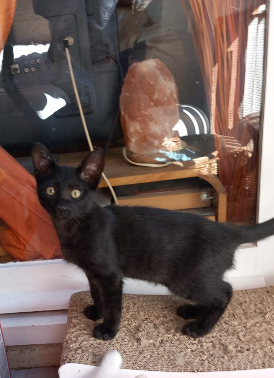 WhatsApp Image 2025-10-11 at 11.59.05