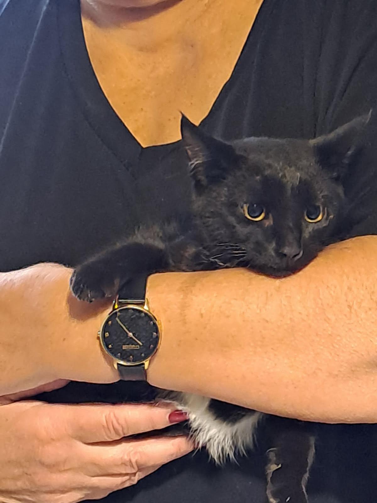 WhatsApp Image 2025-10-14 at 16.09.09 (1)