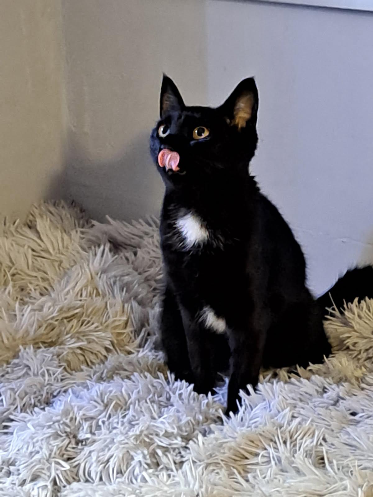 WhatsApp Image 2025-10-14 at 16.09.09 (2)