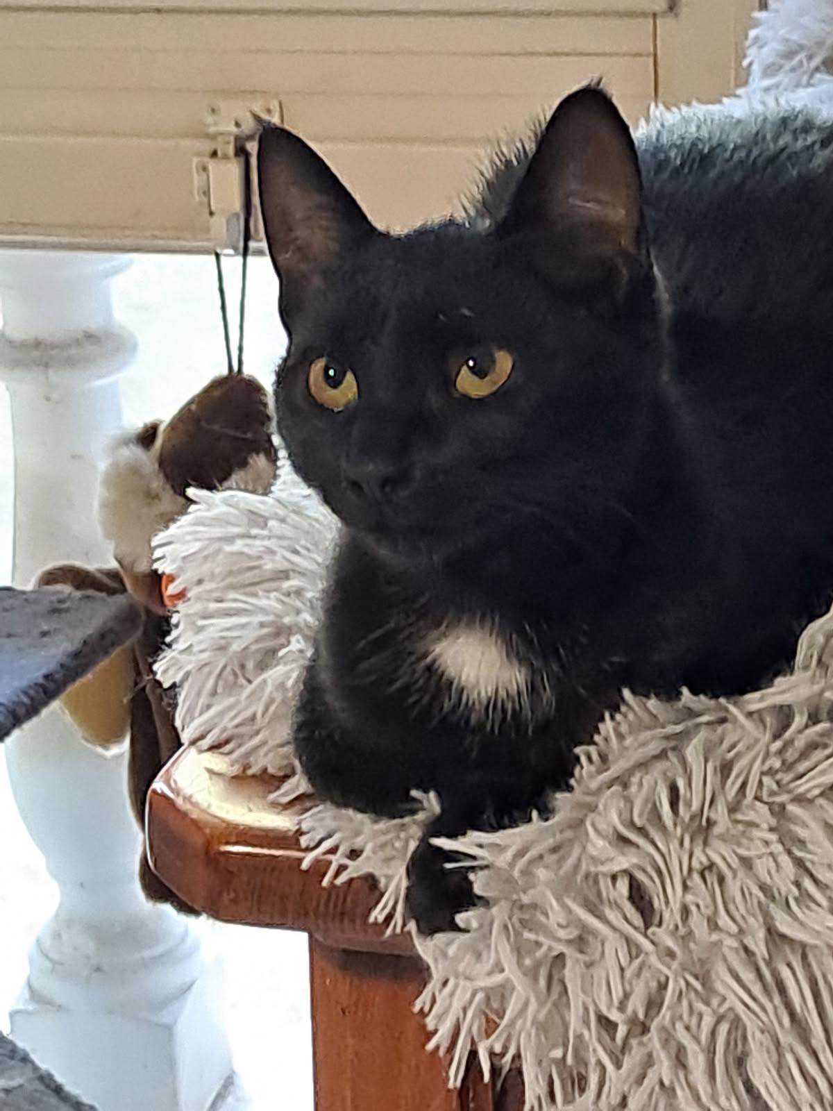 WhatsApp Image 2025-10-14 at 16.09.09