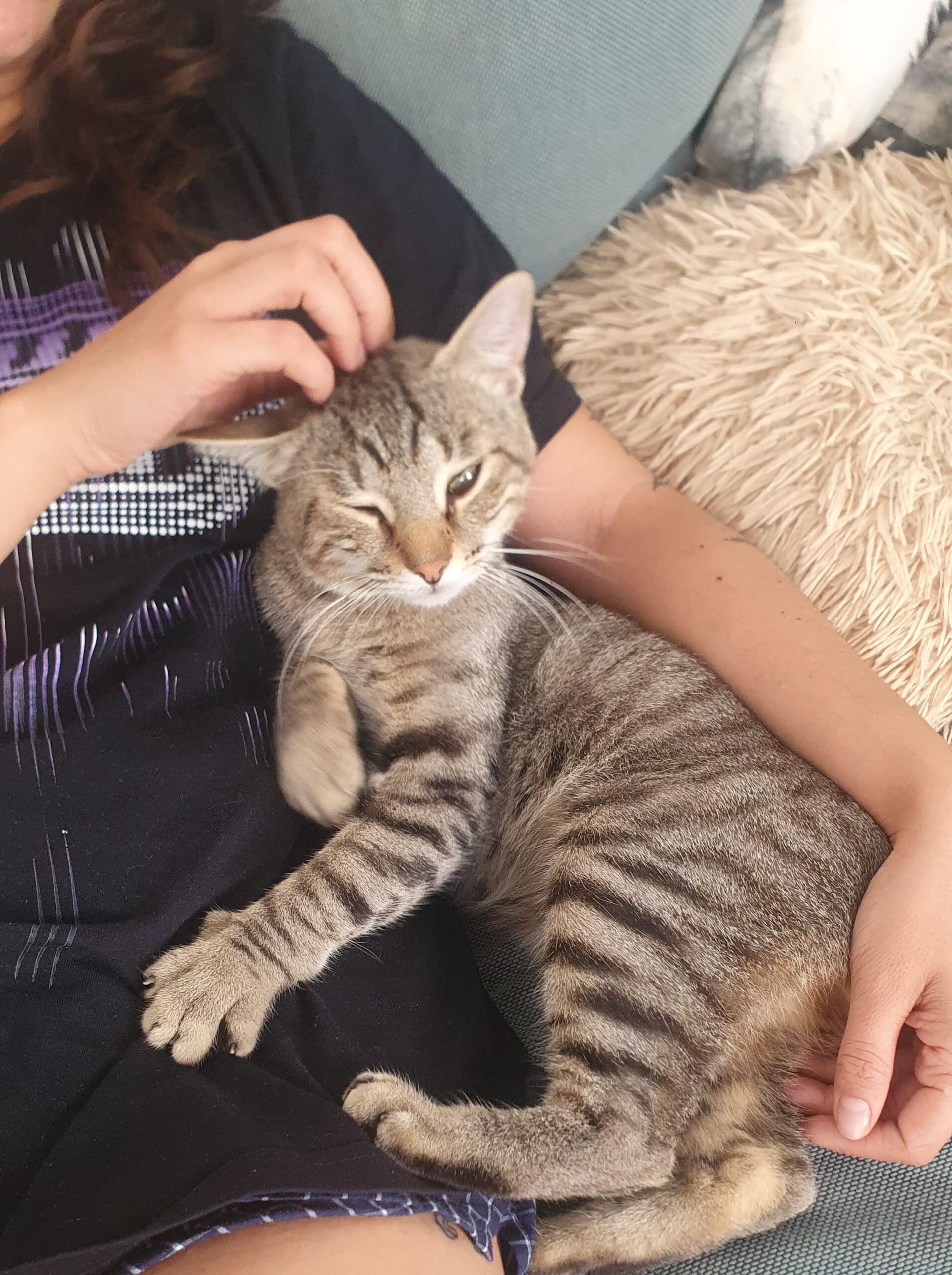 WhatsApp Image 2025-10-15 at 12.09.58