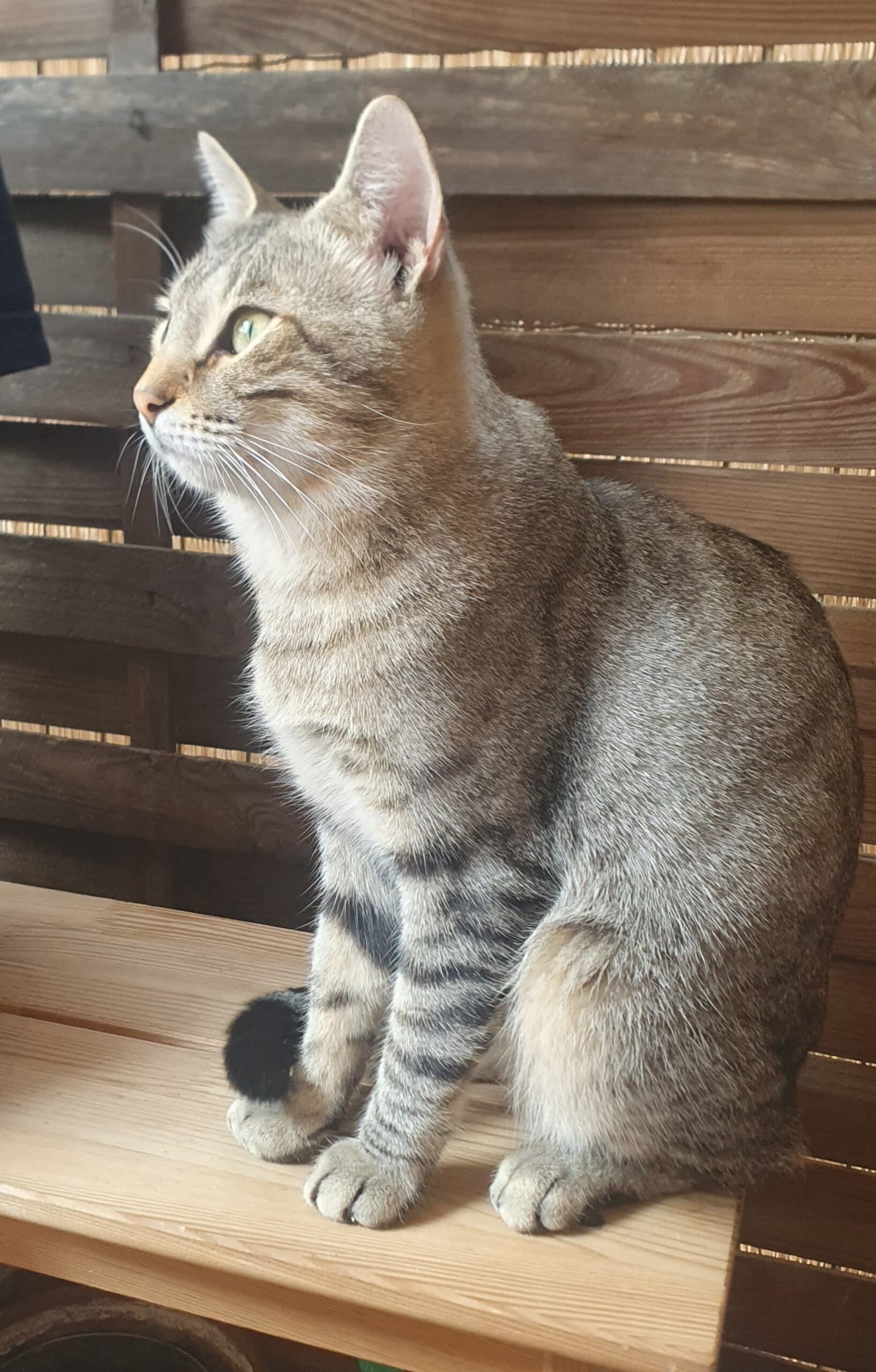 WhatsApp Image 2025-10-15 at 14.26.18