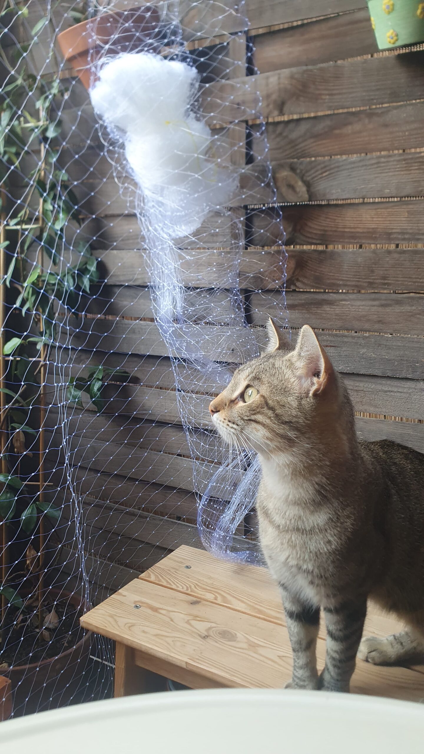 WhatsApp Image 2025-10-15 at 14.26.51