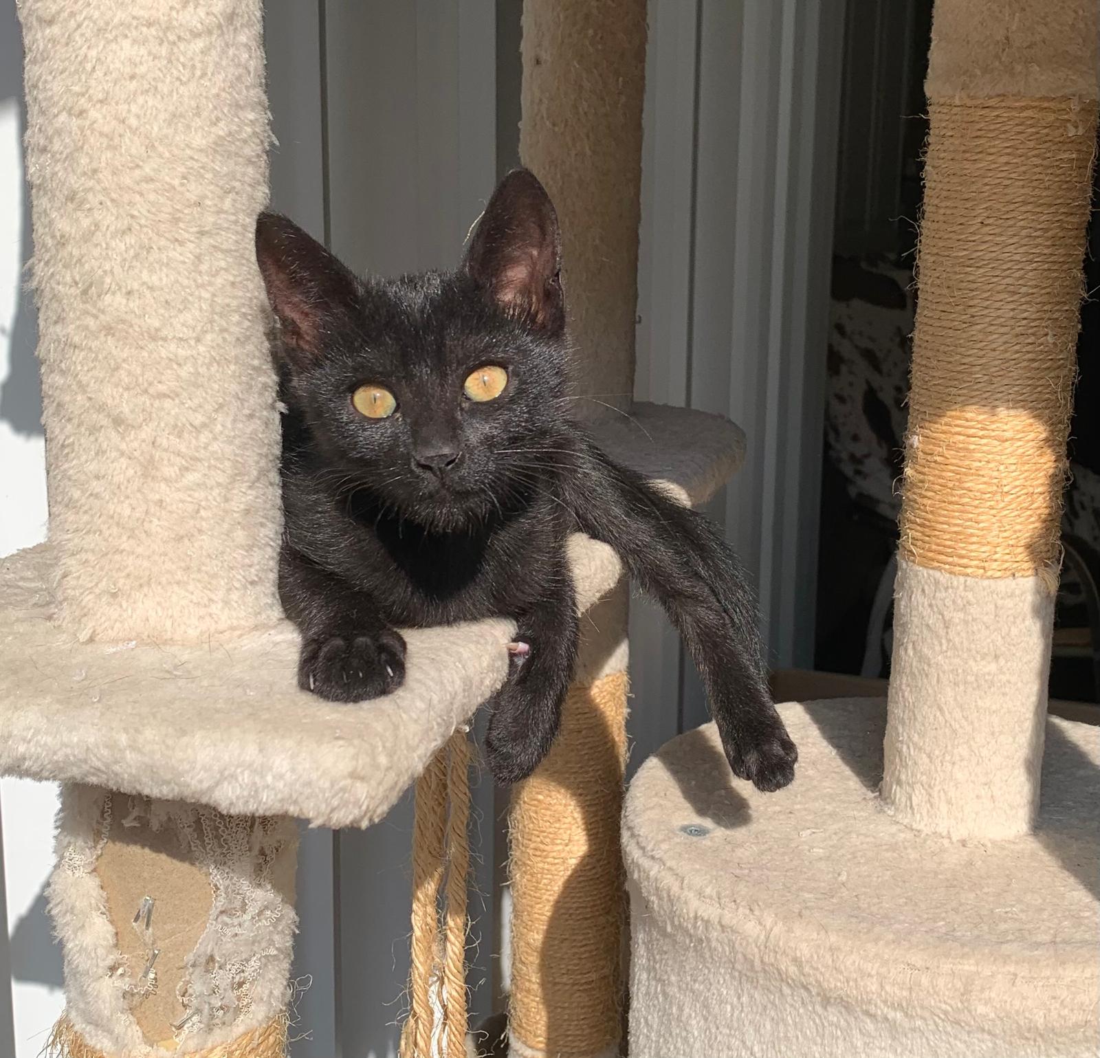 WhatsApp Image 2025-10-17 at 12.29.03