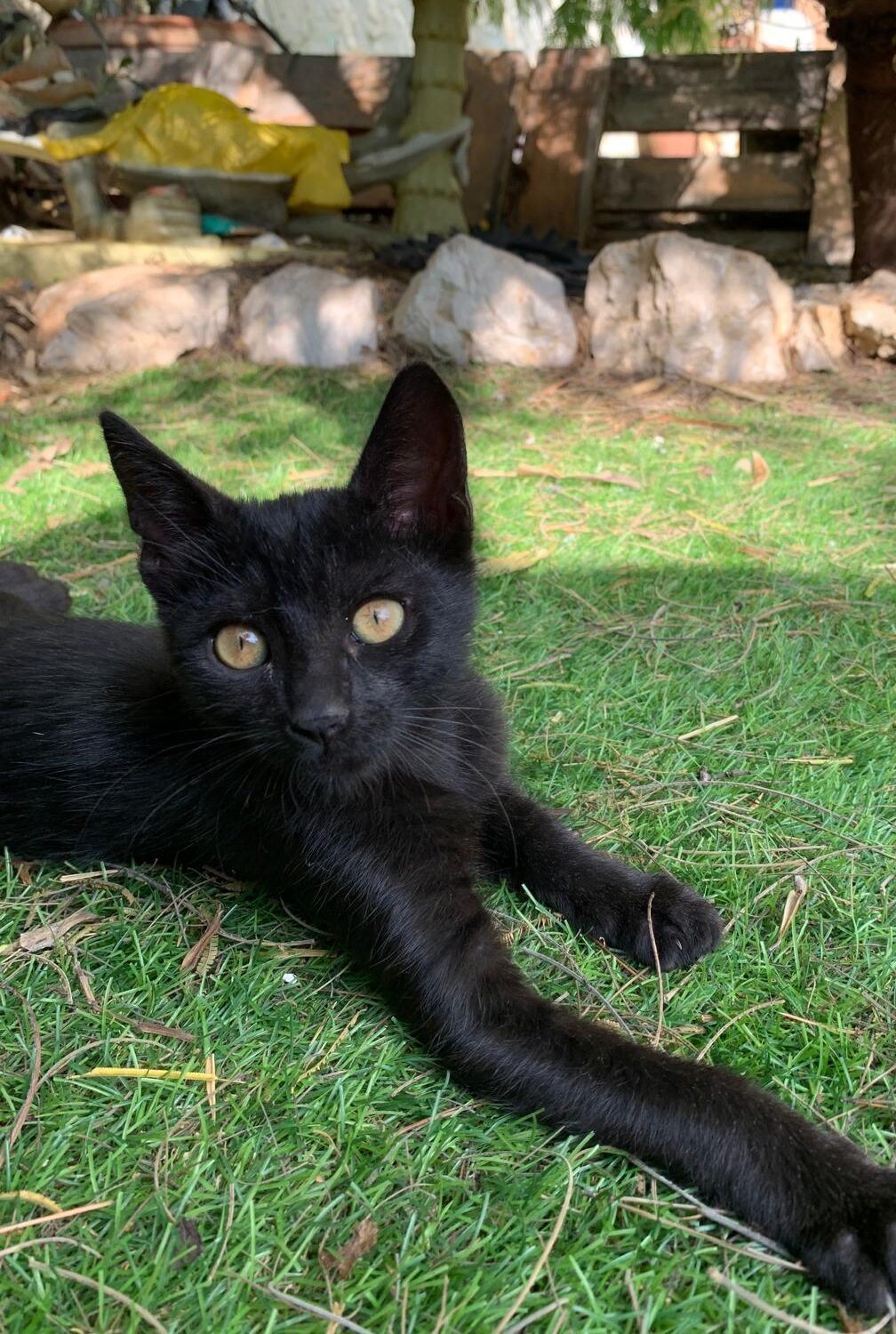 WhatsApp Image 2025-10-17 at 12.37.19