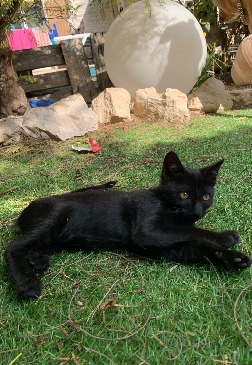 WhatsApp Image 2025-10-17 at 12.37.43