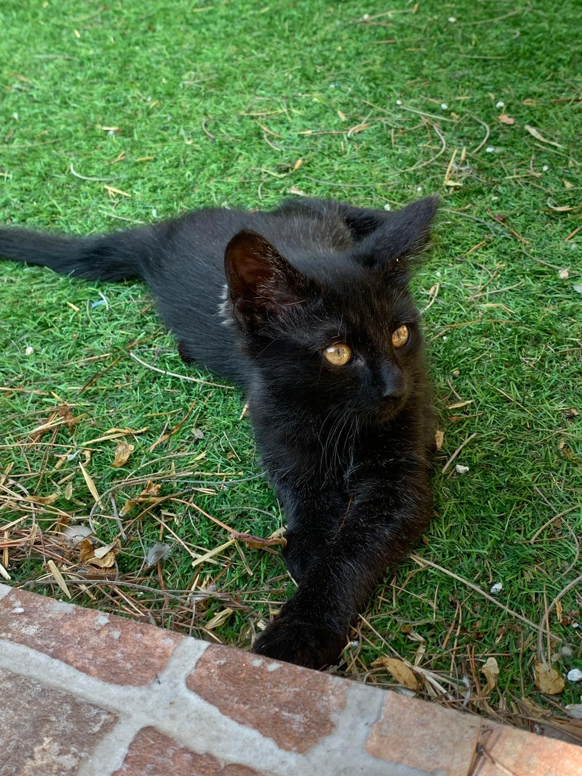 WhatsApp Image 2025-10-17 at 12.47.45 (1)