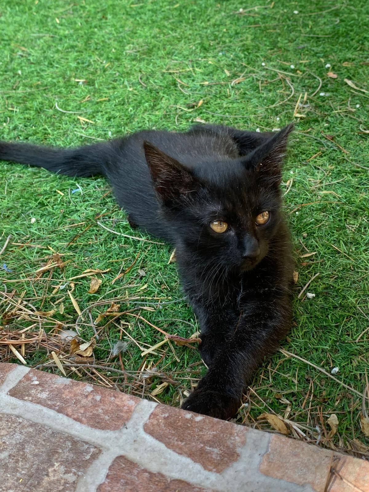 WhatsApp Image 2025-10-17 at 12.47.45 (2)