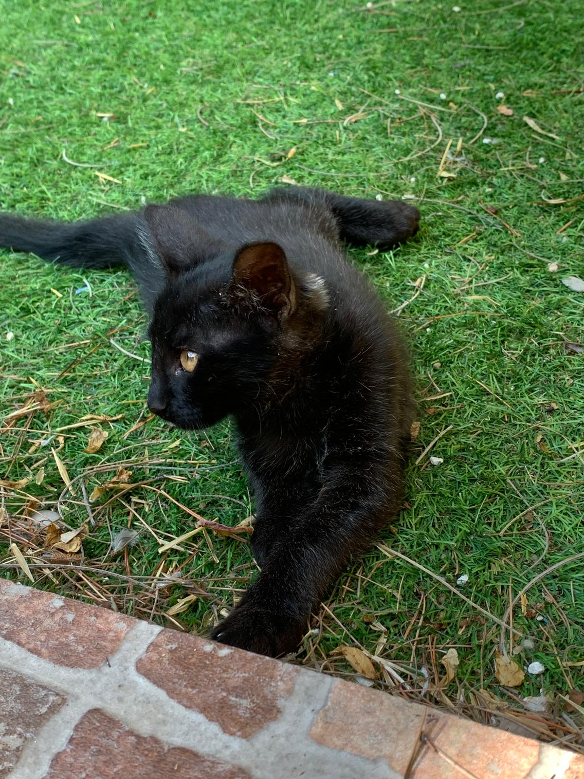 WhatsApp Image 2025-10-17 at 12.47.45 (3)