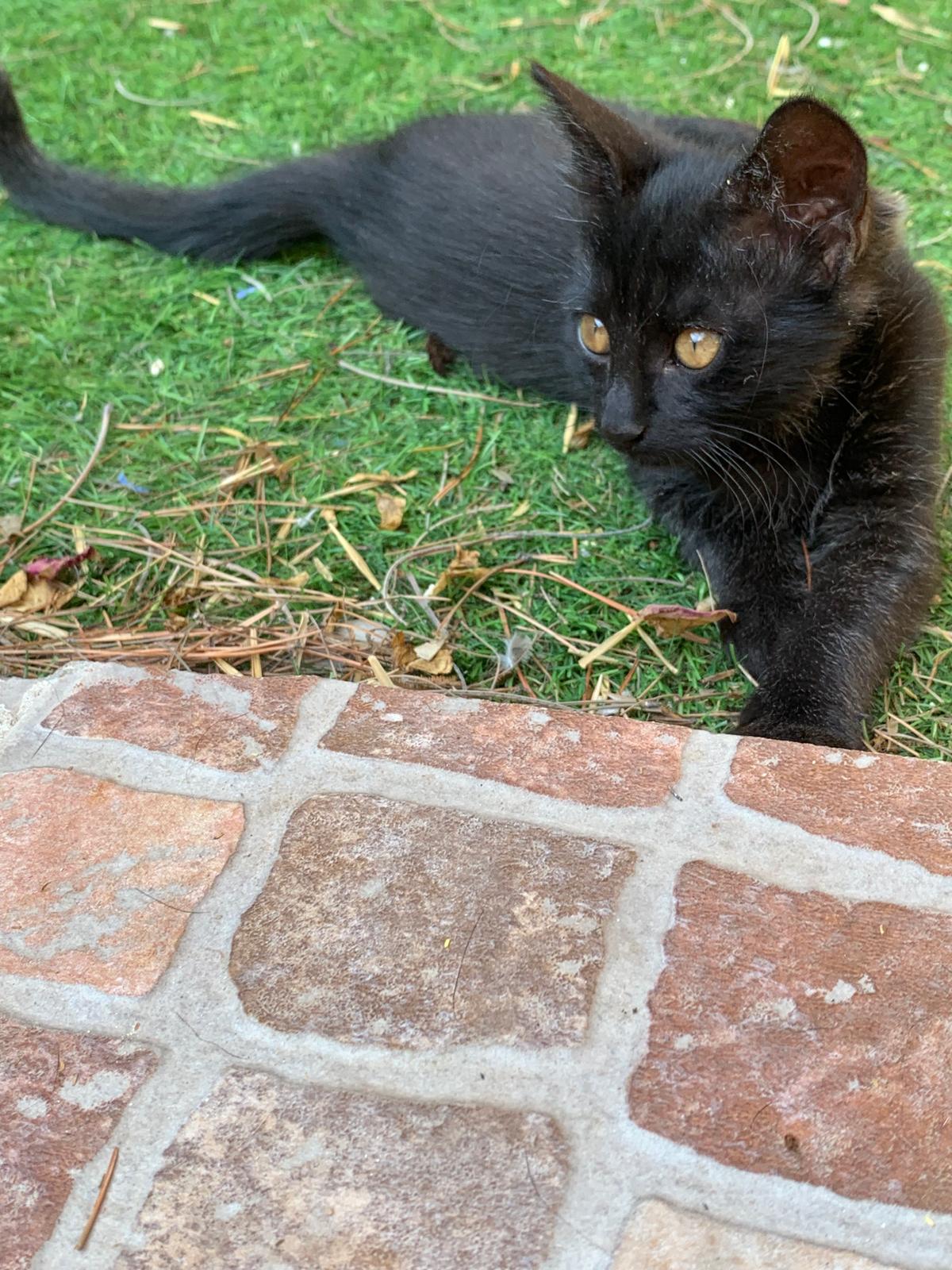 WhatsApp Image 2025-10-17 at 12.47.45 (4)