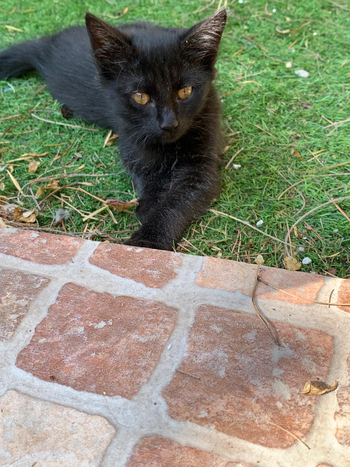 WhatsApp Image 2025-10-17 at 12.47.45 (5)