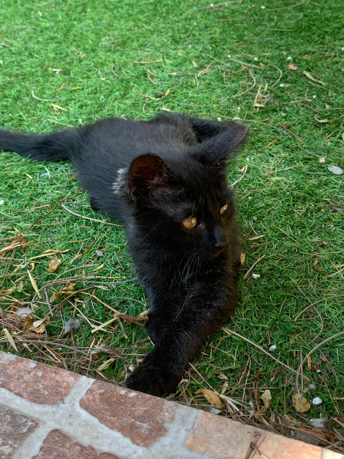 WhatsApp Image 2025-10-17 at 12.47.45