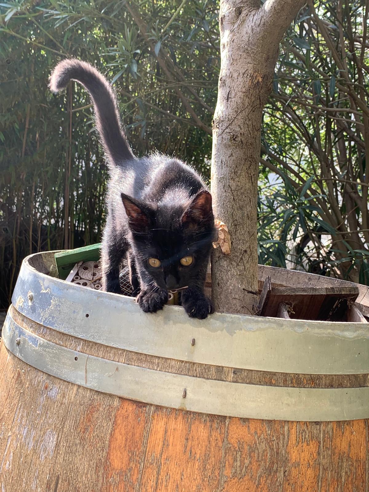 WhatsApp Image 2025-10-17 at 12.48.11 (1)