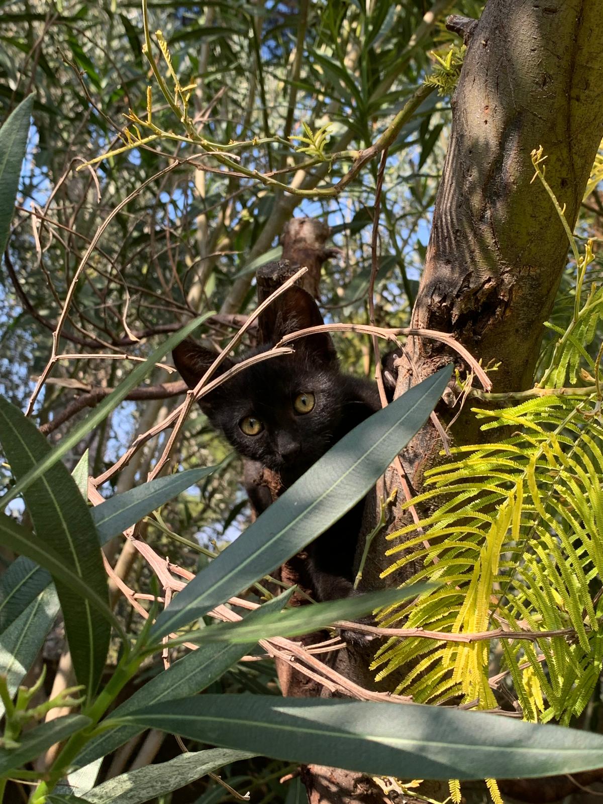 WhatsApp Image 2025-10-17 at 12.48.11 (2)