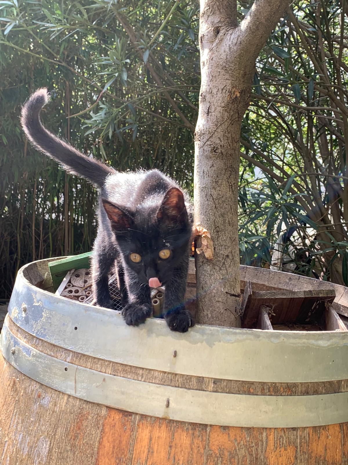 WhatsApp Image 2025-10-17 at 12.48.11