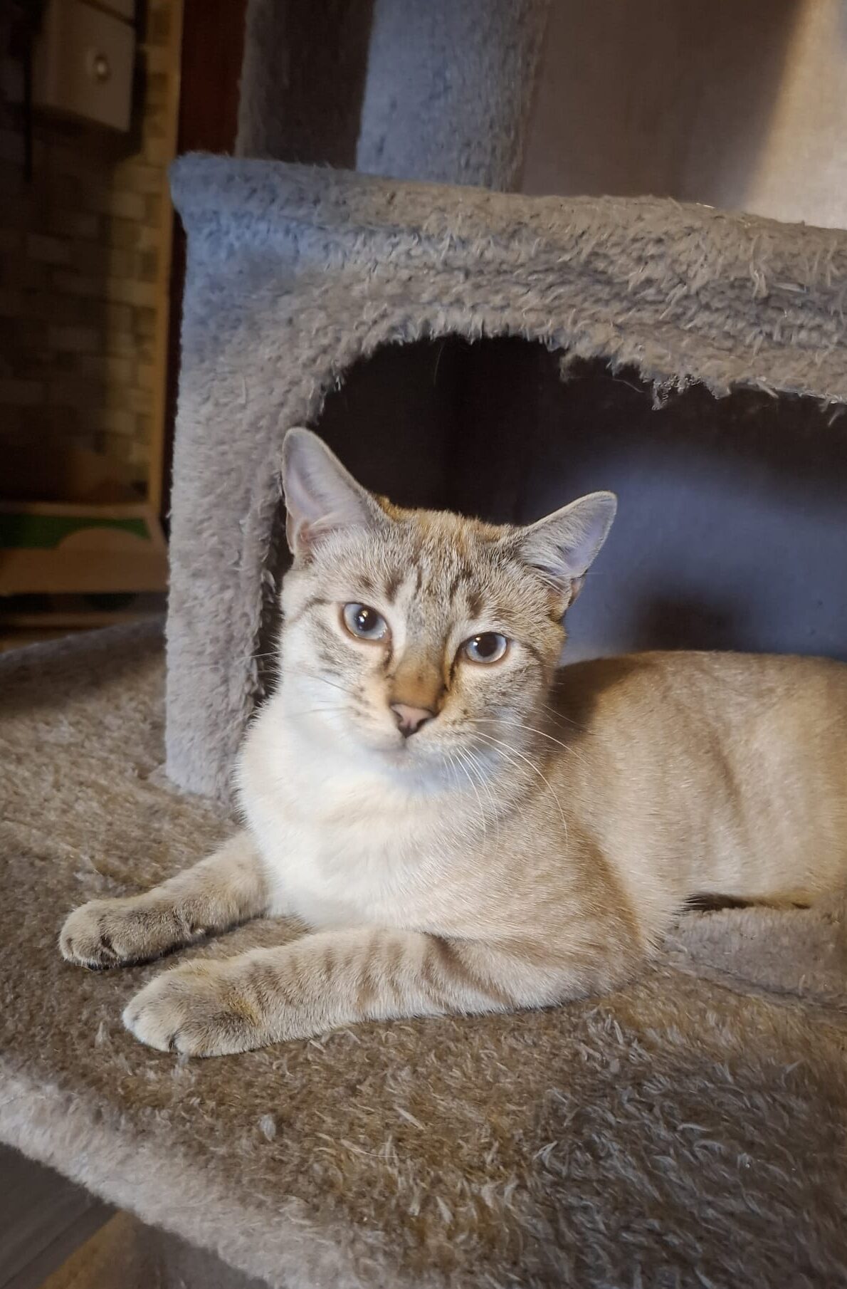 WhatsApp Image 2025-10-19 at 10.48.12 (1)