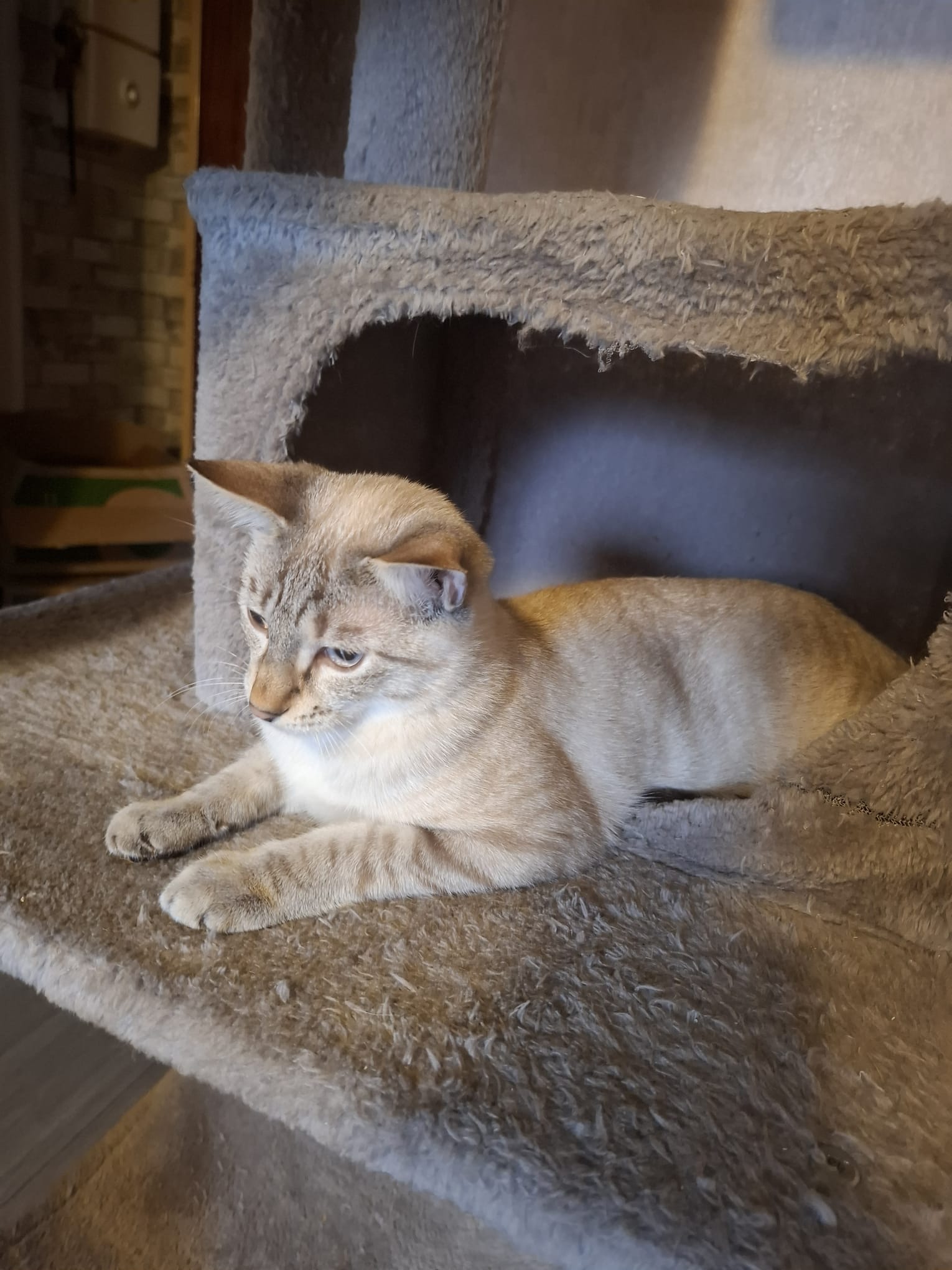 WhatsApp Image 2025-10-19 at 10.48.12 (2)