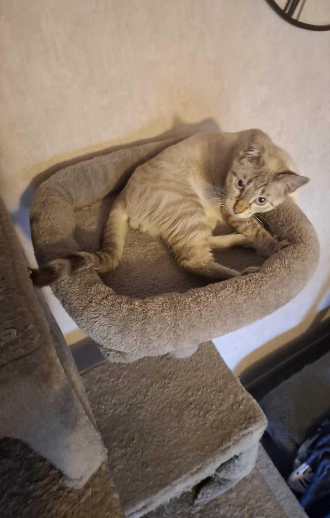 WhatsApp Image 2025-10-19 at 10.48.12 (4)