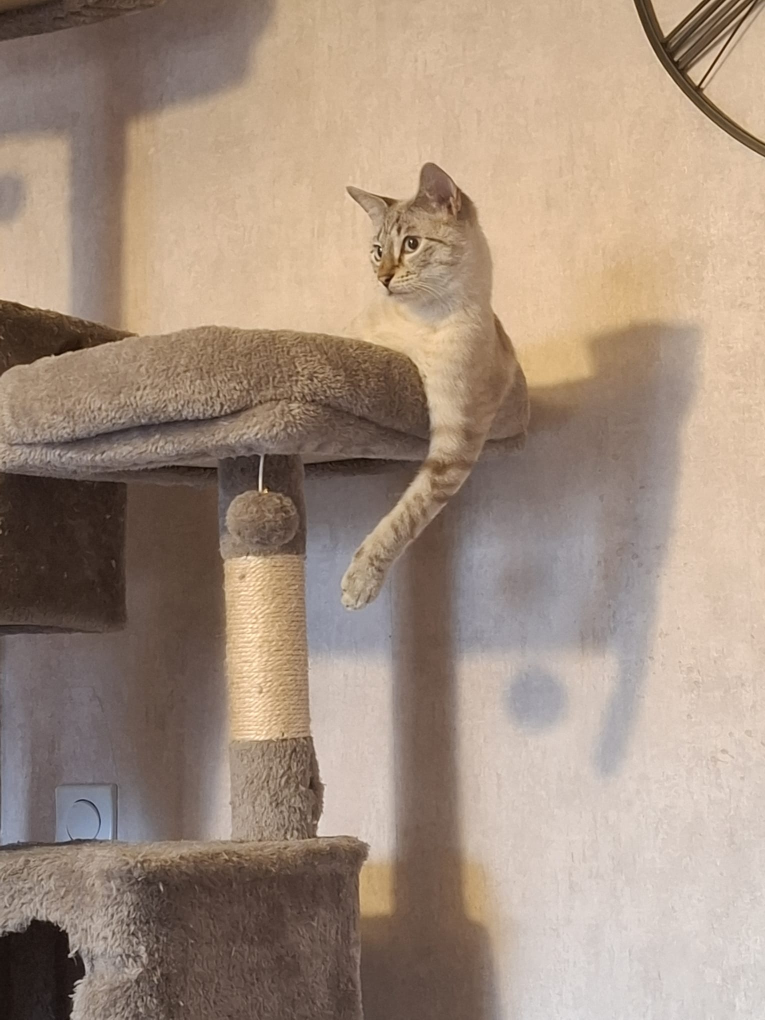 WhatsApp Image 2025-10-19 at 10.48.12 (5)