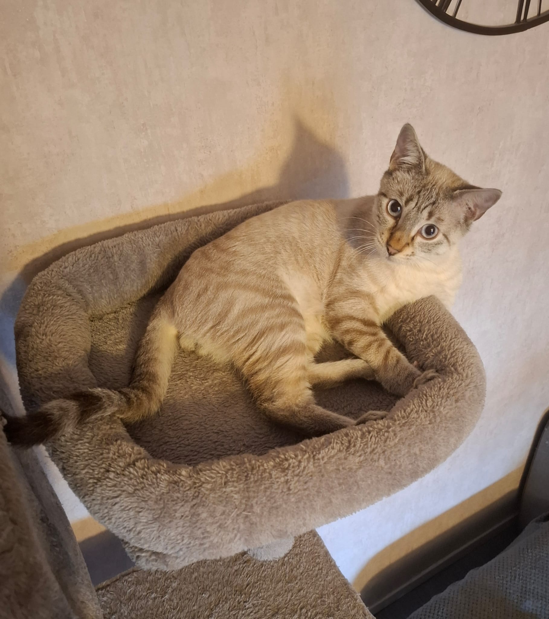 WhatsApp Image 2025-10-19 at 10.48.12