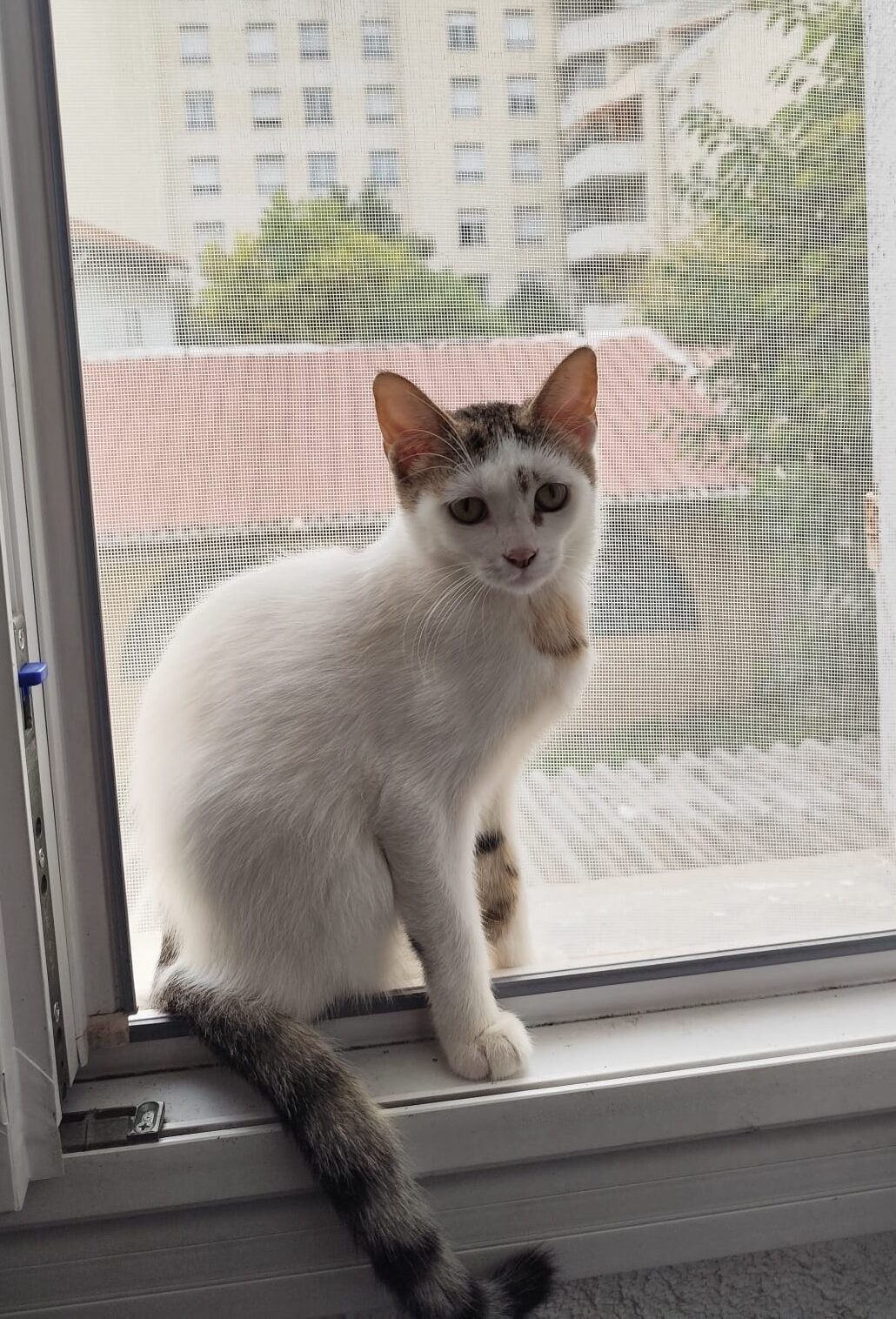 WhatsApp Image 2025-10-19 at 23.35.47 (6)