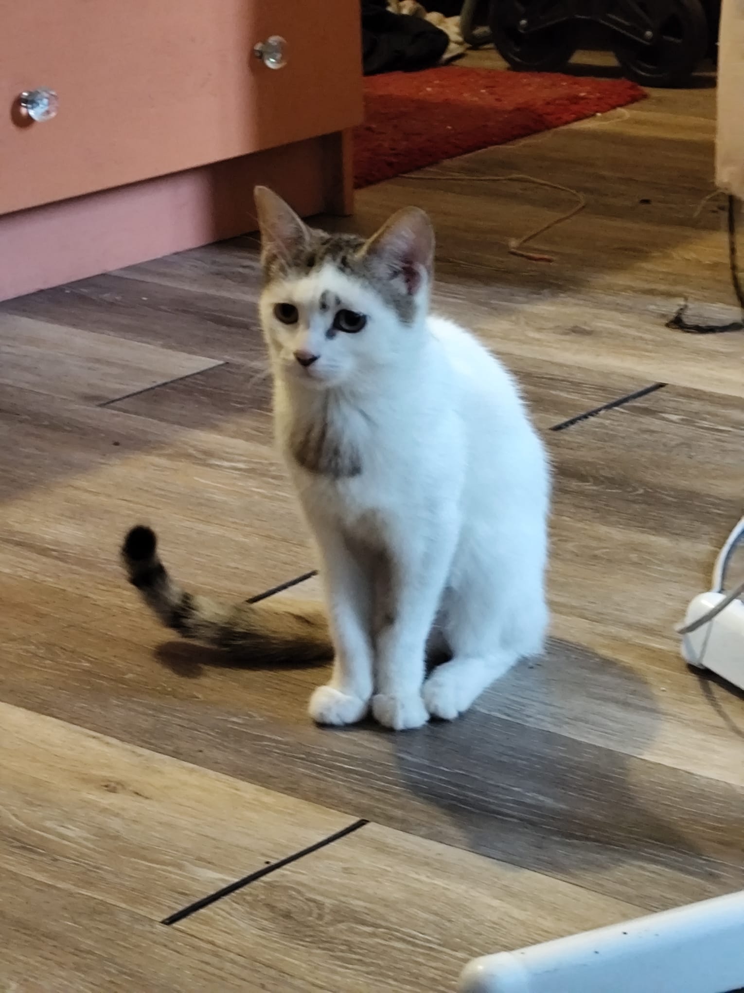 WhatsApp Image 2025-10-19 at 23.35.47 (7)