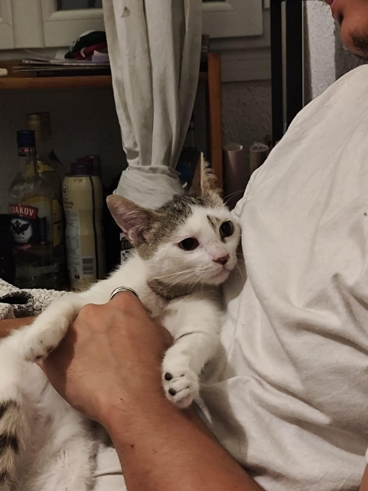 WhatsApp Image 2025-10-19 at 23.36.36 (1)