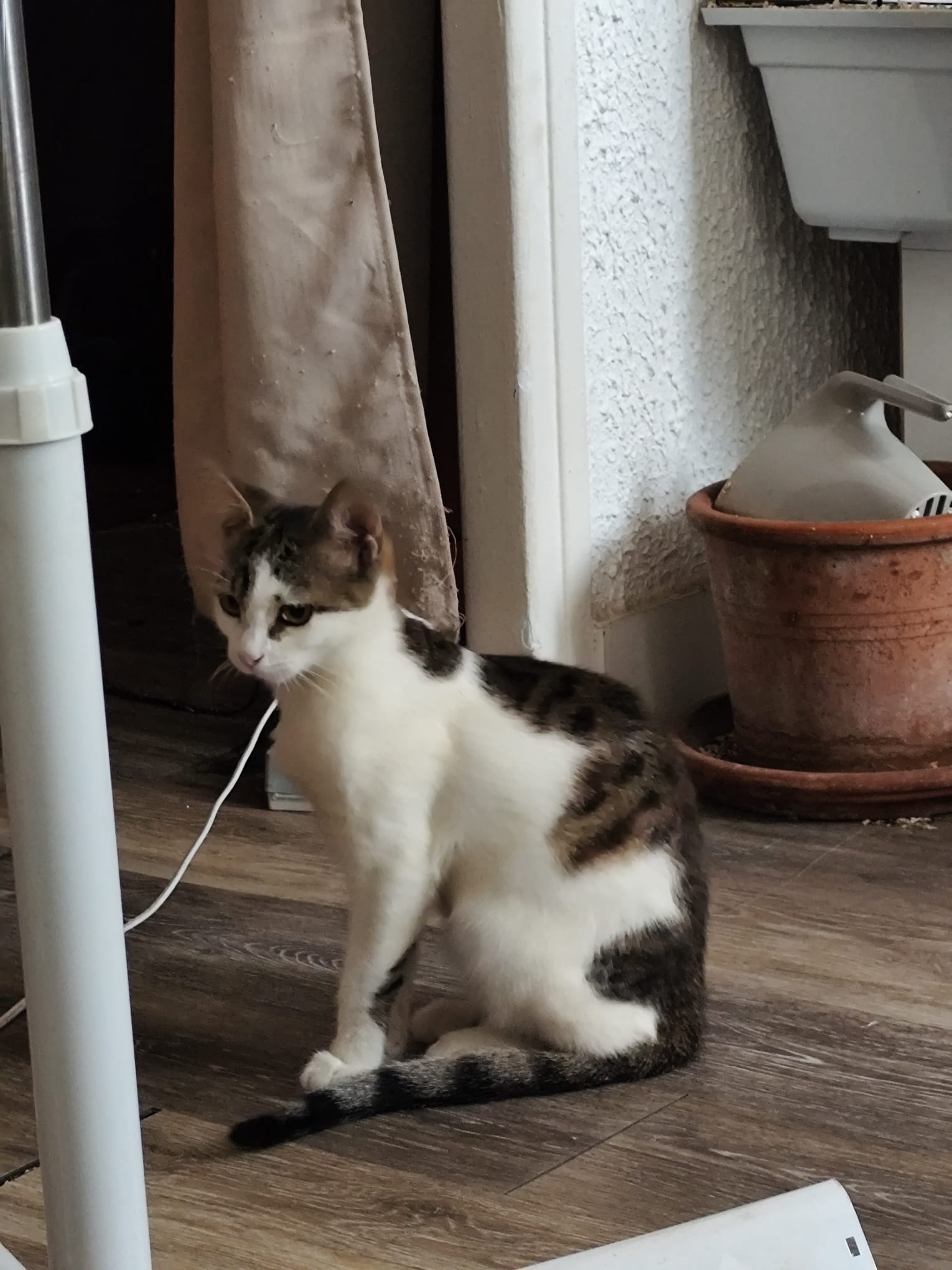 WhatsApp Image 2025-10-19 at 23.37.04 (4)