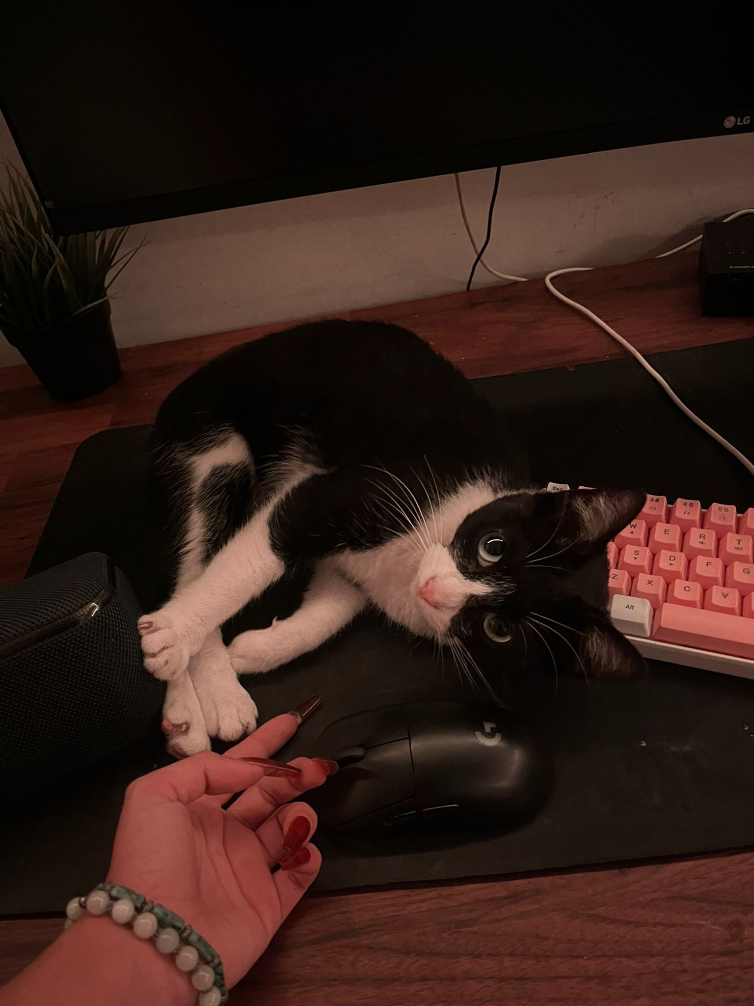 WhatsApp Image 2025-10-20 at 11.52.37 (1)