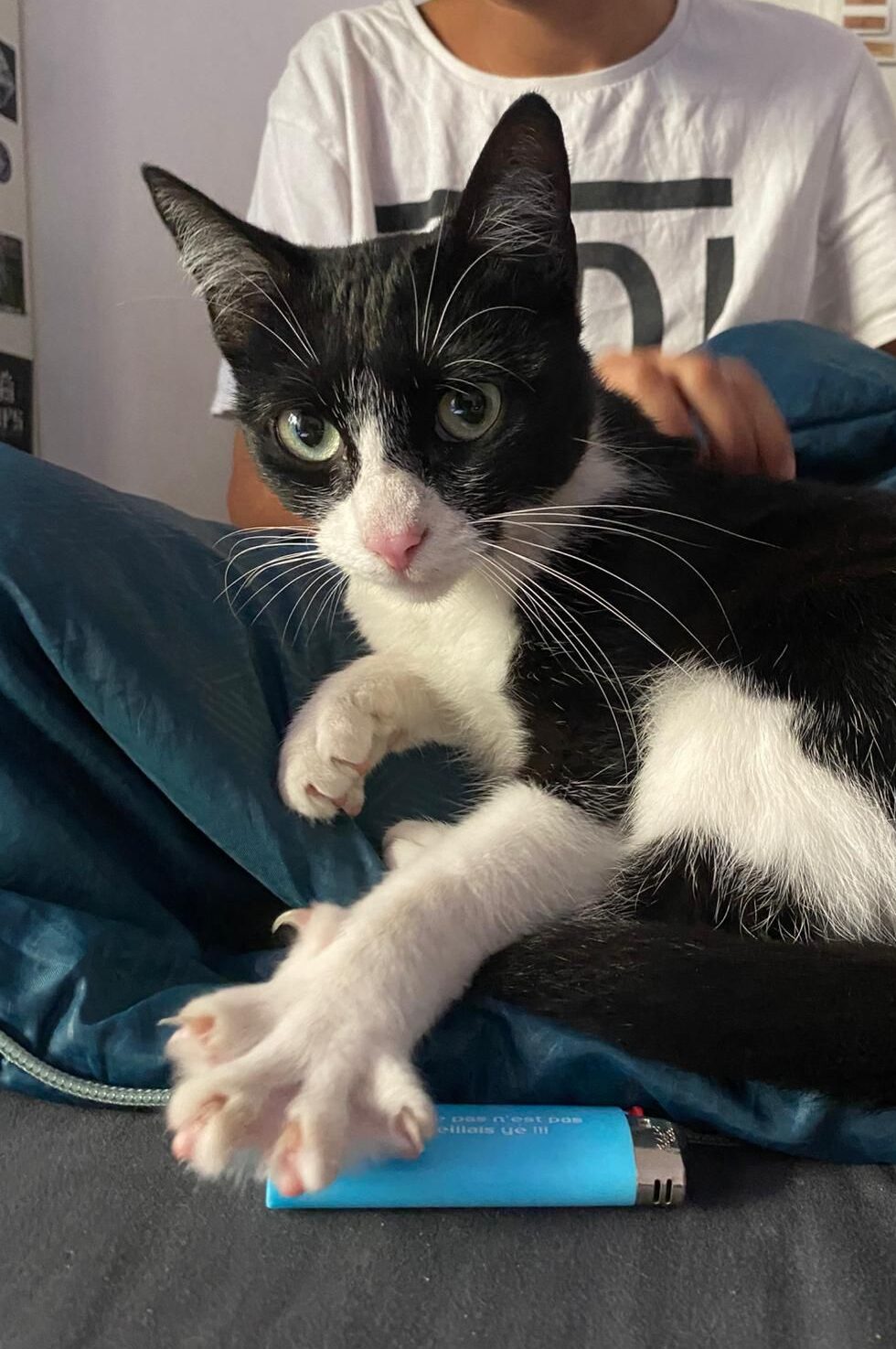 WhatsApp Image 2025-10-20 at 11.52.37 (2)