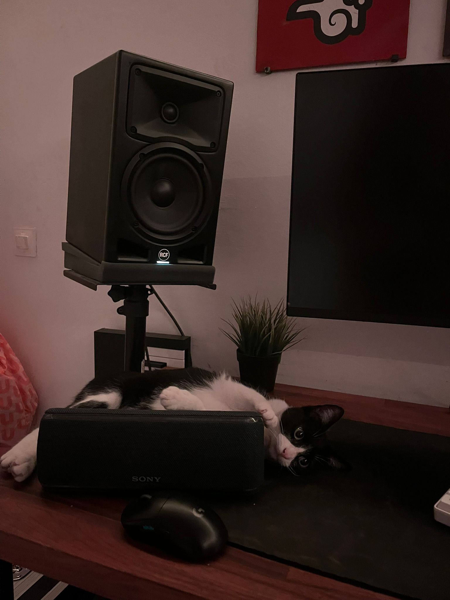 WhatsApp Image 2025-10-20 at 11.52.37 (3)