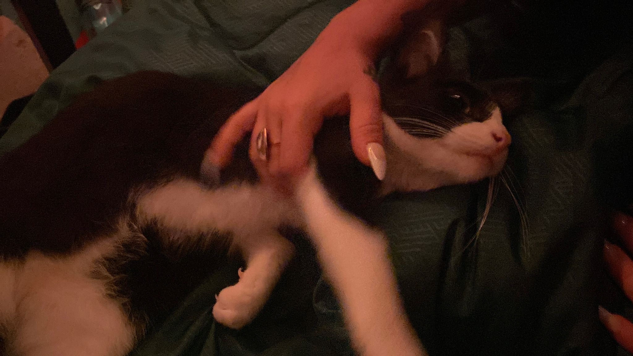 WhatsApp Image 2025-10-20 at 11.52.37