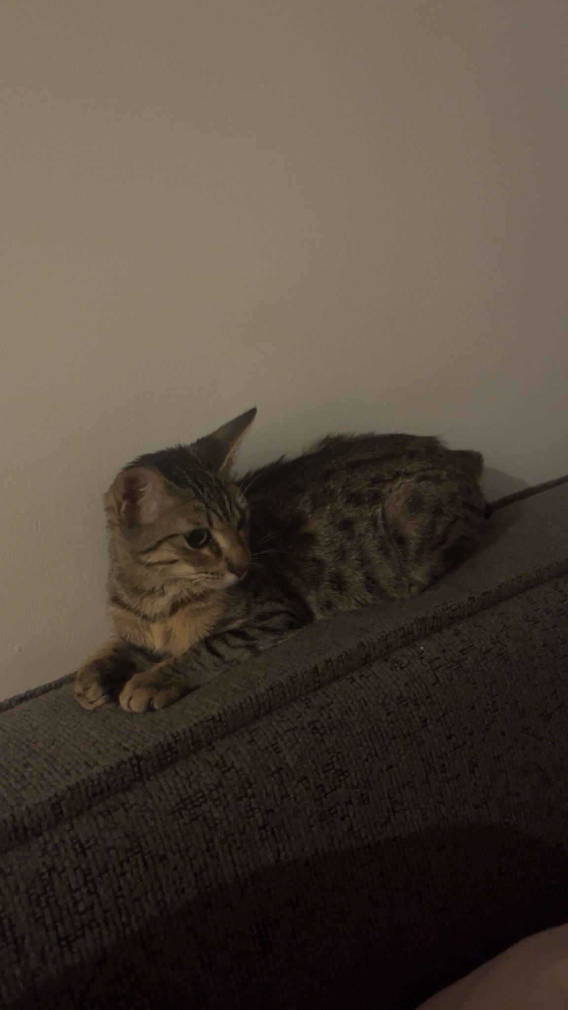 WhatsApp Image 2025-10-20 at 12.04.25 (1)