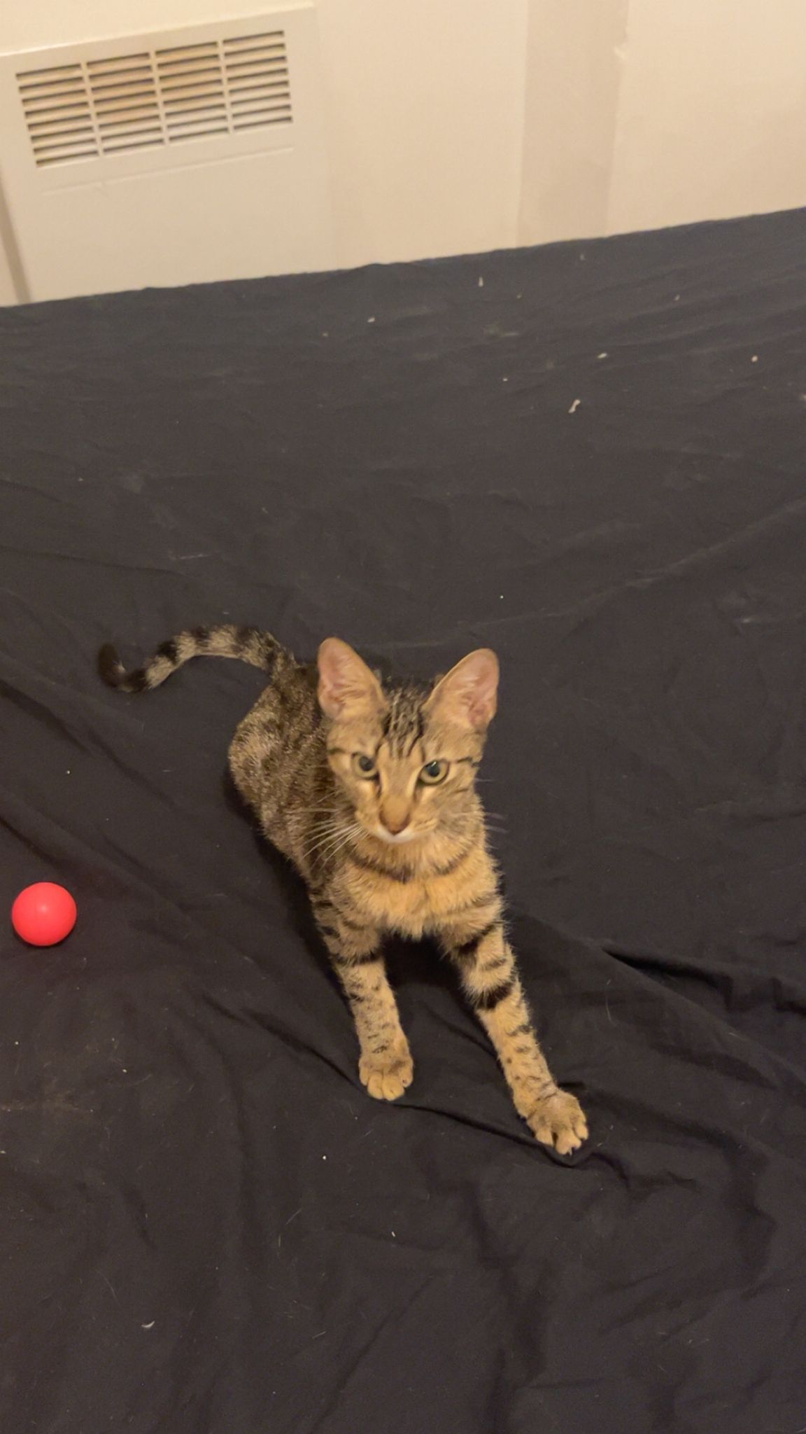 WhatsApp Image 2025-10-20 at 12.04.25 (2)