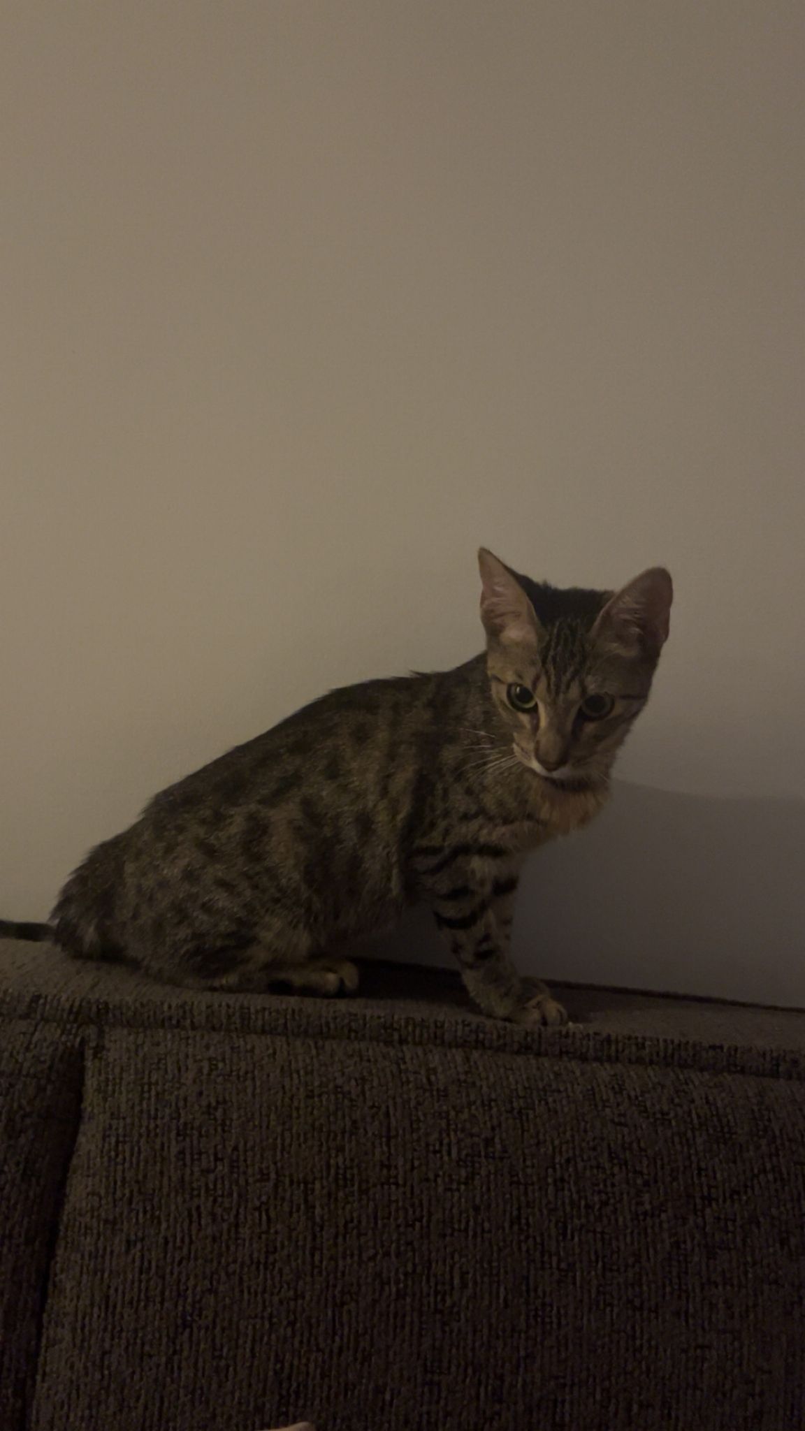 WhatsApp Image 2025-10-20 at 12.04.25 (3)